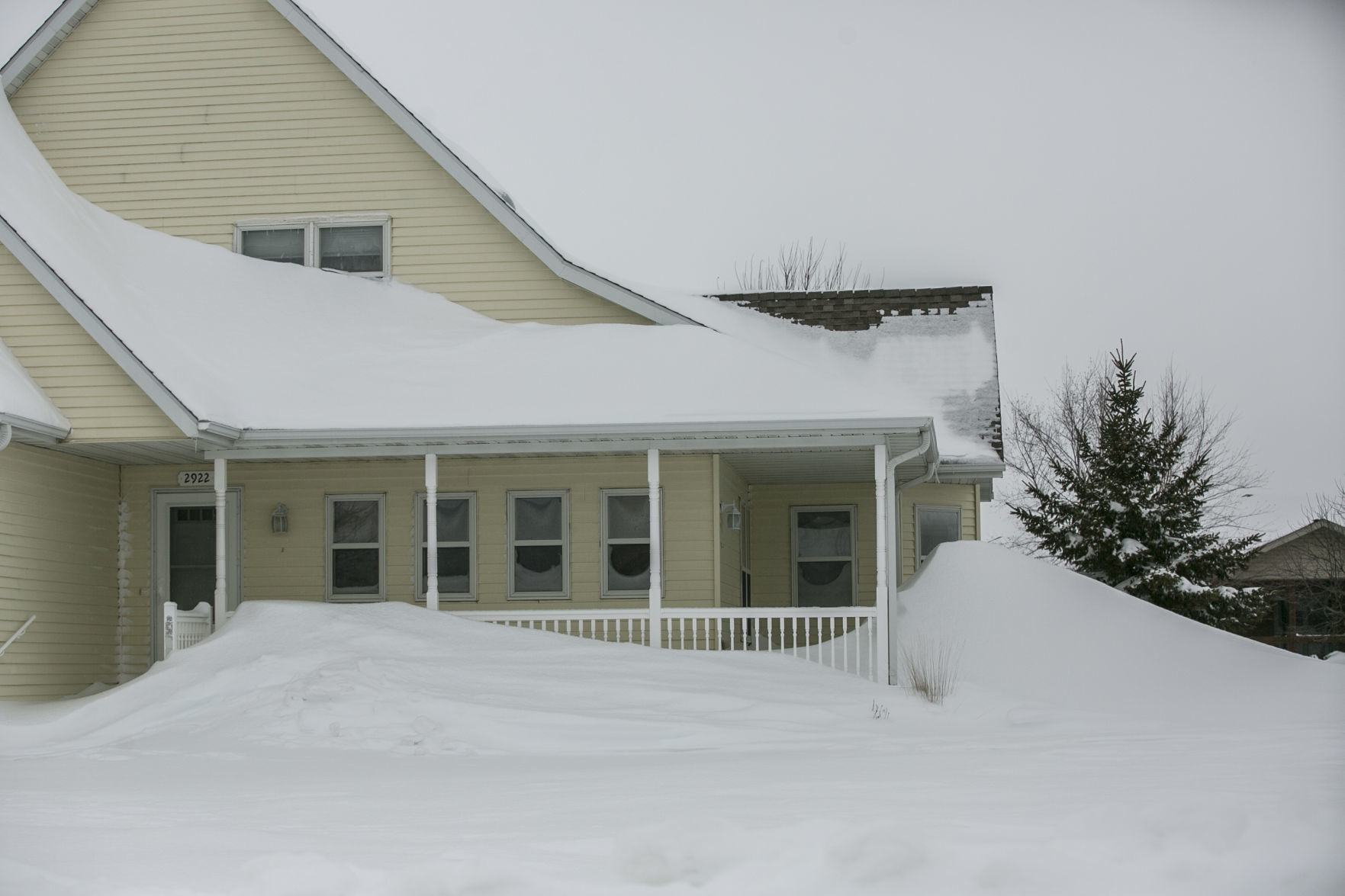 Blizzard 16